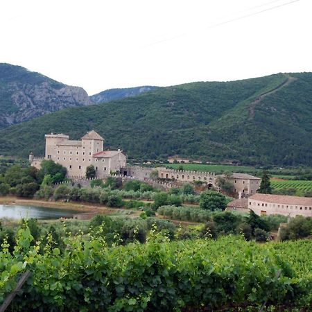 Ferienwohnung Castell De Riudabella Vimbodi I Poblet Exterior foto