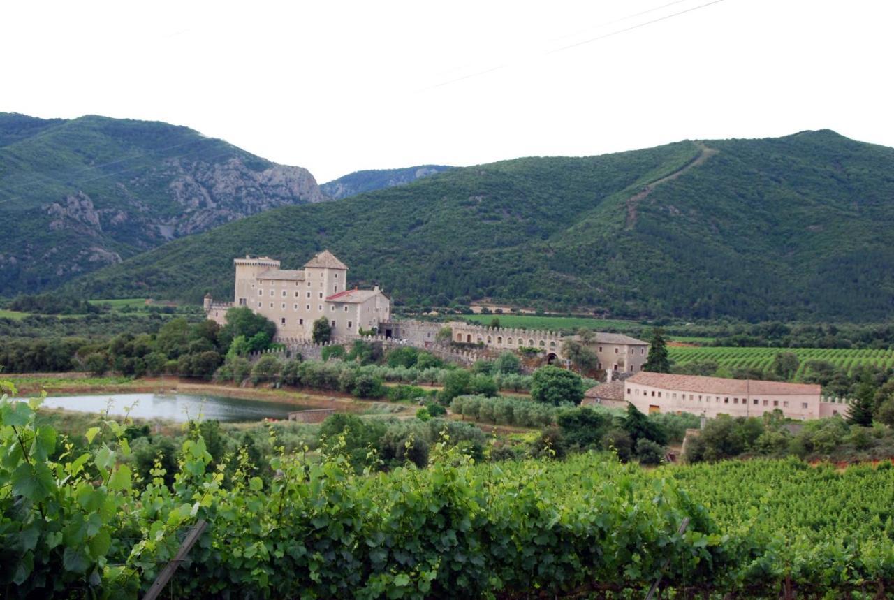 Ferienwohnung Castell De Riudabella Vimbodi I Poblet Exterior foto
