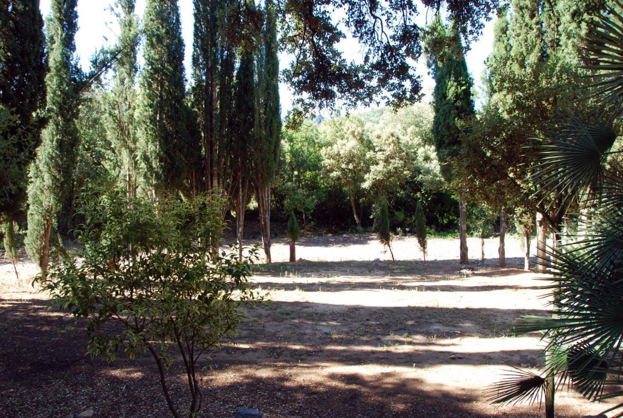 Ferienwohnung Castell De Riudabella Vimbodi I Poblet Exterior foto