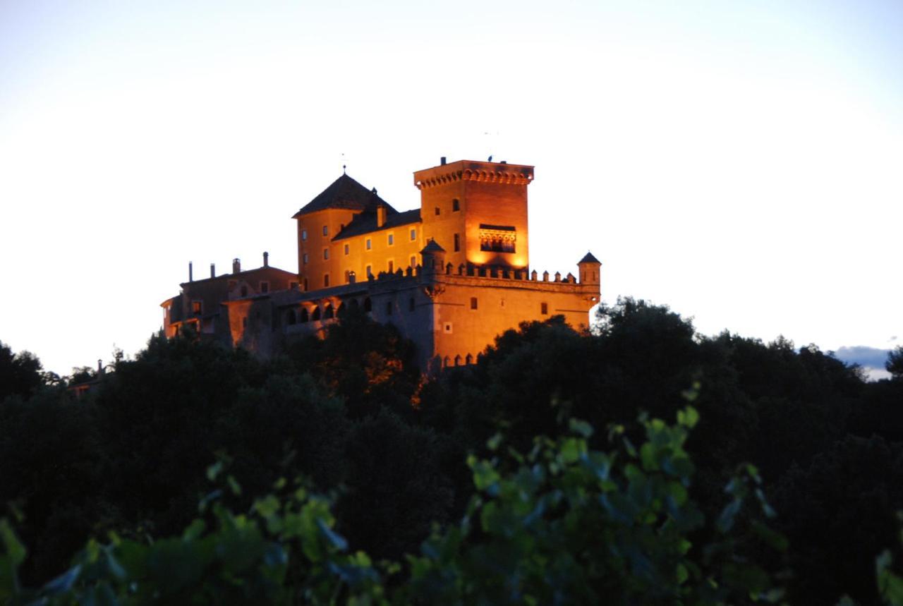 Ferienwohnung Castell De Riudabella Vimbodi I Poblet Exterior foto