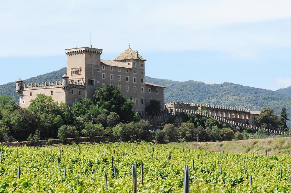 Ferienwohnung Castell De Riudabella Vimbodi I Poblet Exterior foto